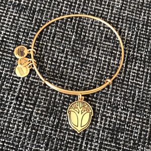 Alex and Ani unexpected miracles bracelet